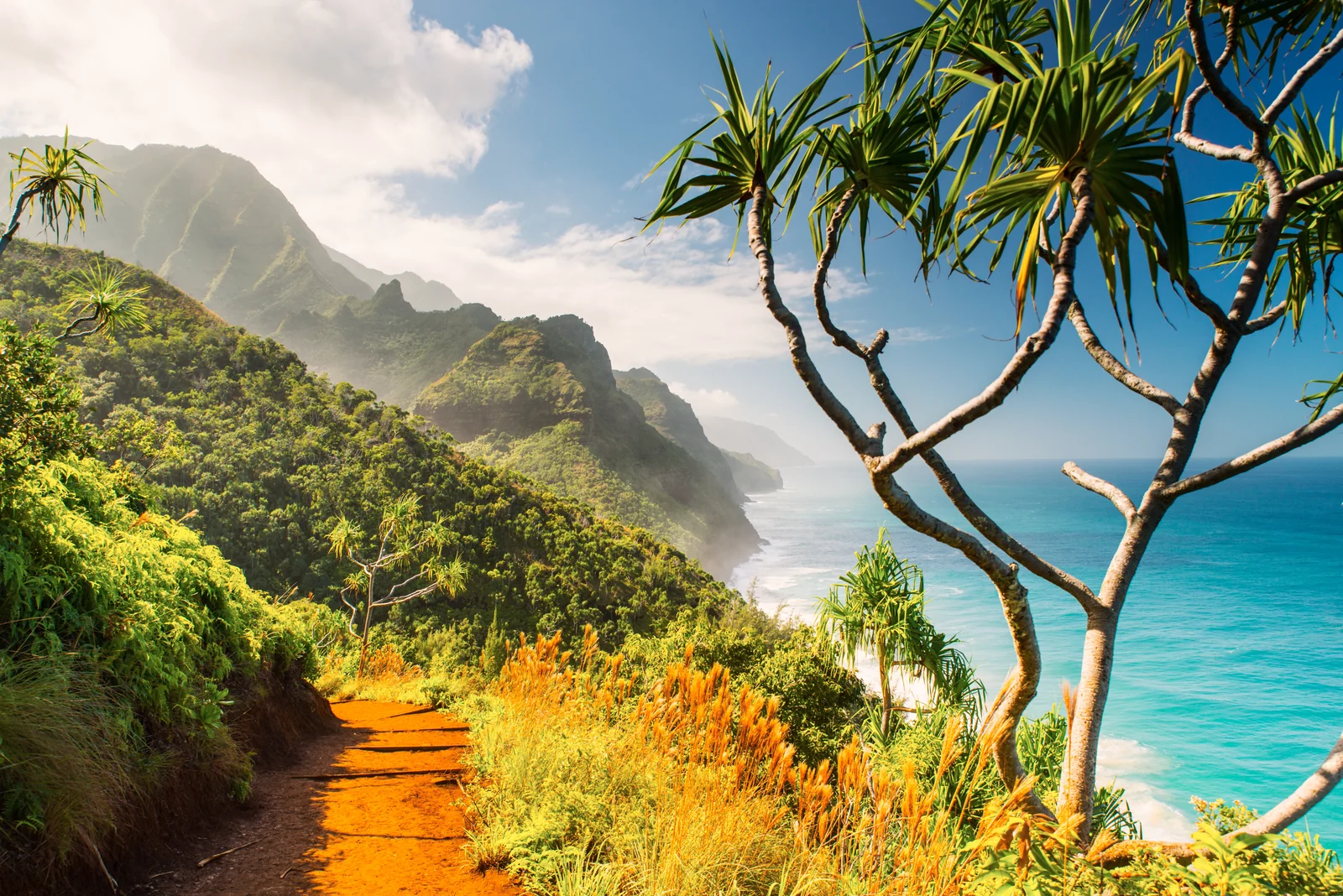 The green ridges and coast surrounding the Kalalau Trail on Kauaʻi