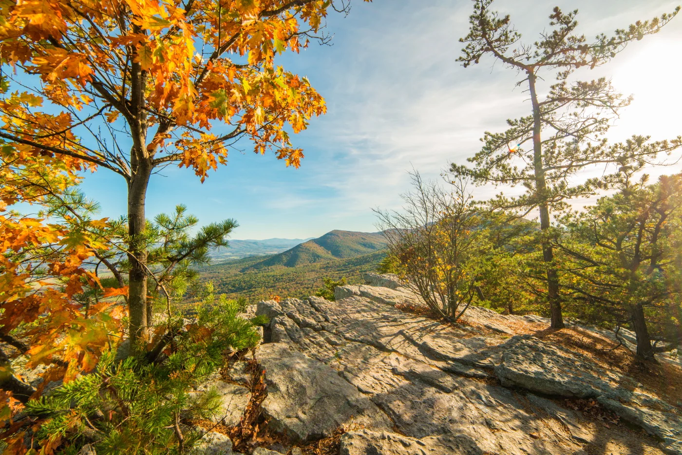 Massanutten Storybook Trail (Fall Foliage Hike)