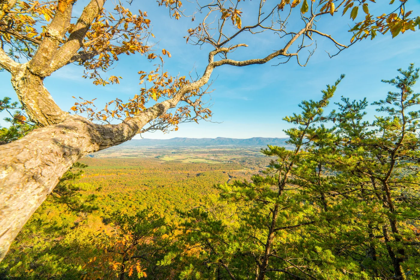 Massanutten Storybook Trail (Fall Foliage Hike) — photograph 4