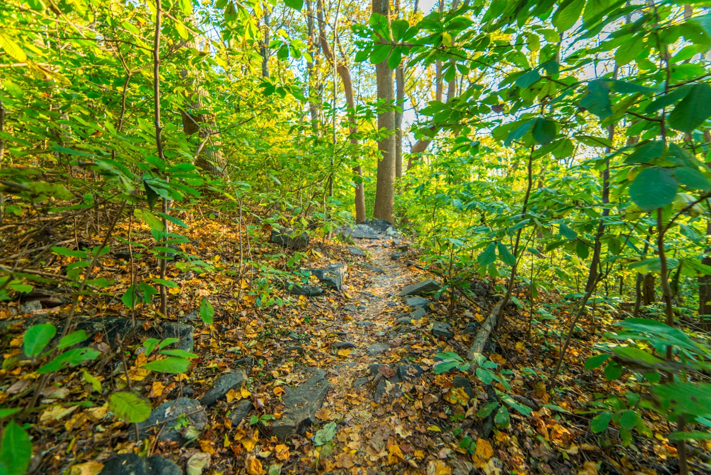 Weverton Cliffs (Fall Foliage Hike) — photograph 11