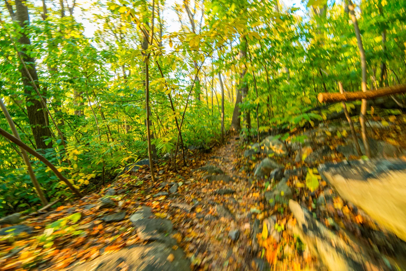 Weverton Cliffs (Fall Foliage Hike) — photograph 13