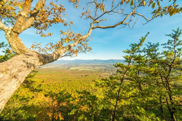 Massanutten Storybook Trail (Fall Foliage Hike) — photograph 4