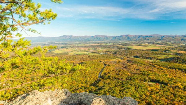 Massanutten Storybook Trail (Fall Foliage Hike) — photograph 8