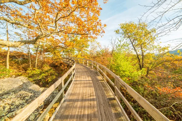 With a paved trail and a setup like this, the Massanutten Story Book Trail is a really easy hike.