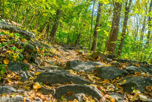 Weverton Cliffs (Fall Foliage Hike) — photograph 10