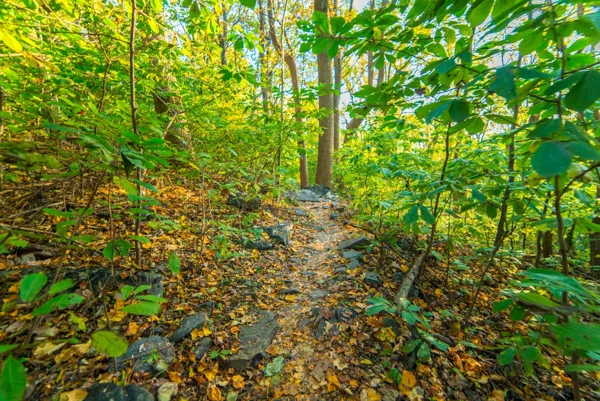 Weverton Cliffs (Fall Foliage Hike) — photograph 11