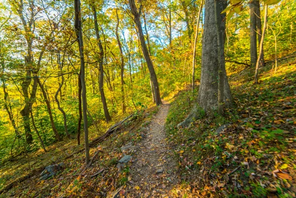 Weverton Cliffs (Fall Foliage Hike) — photograph 12
