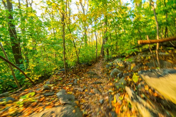 Weverton Cliffs (Fall Foliage Hike) — photograph 13
