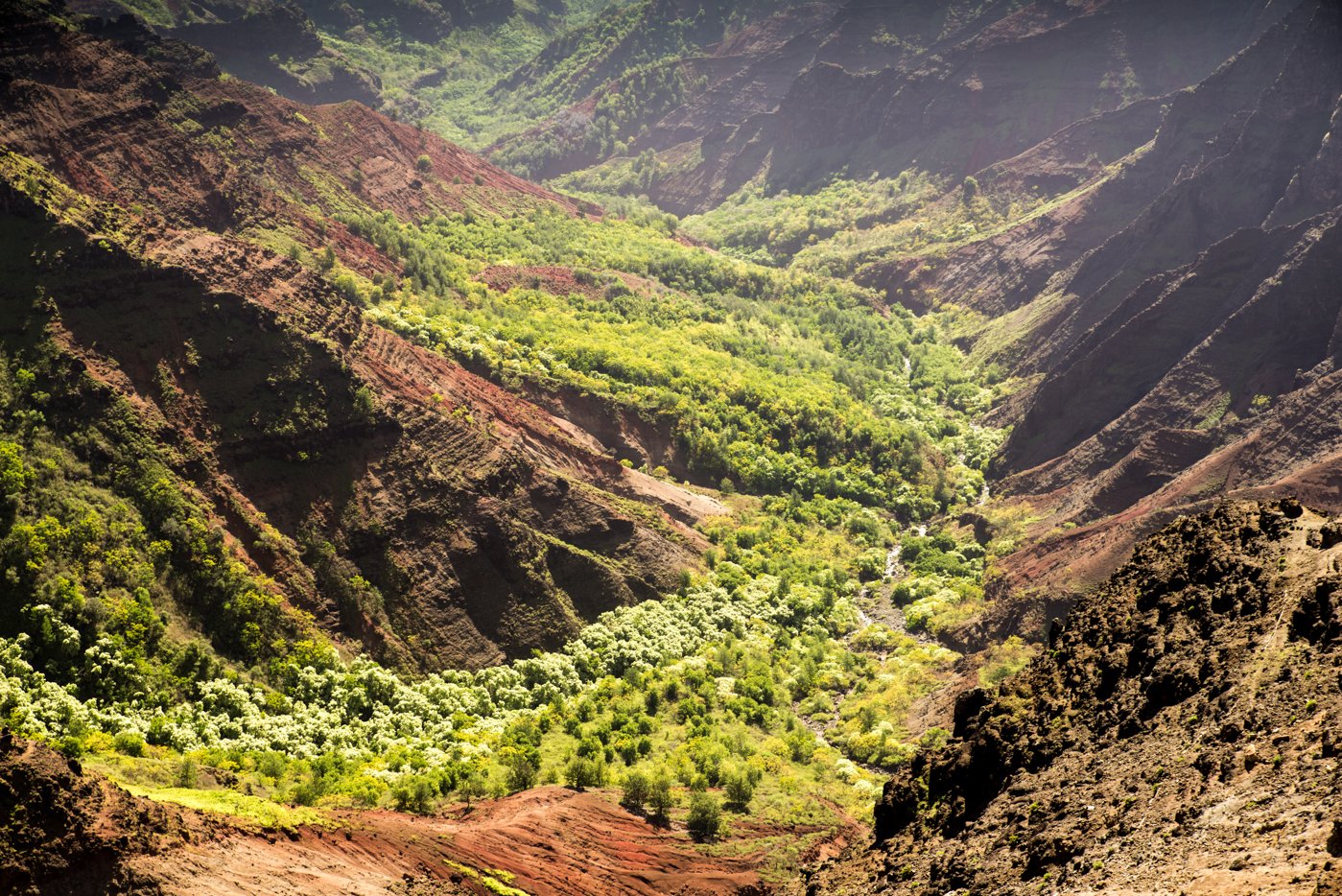 Waimea Canyon