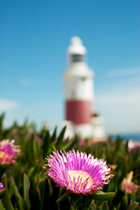 Gibraltar Lighthouse — Gibraltar
