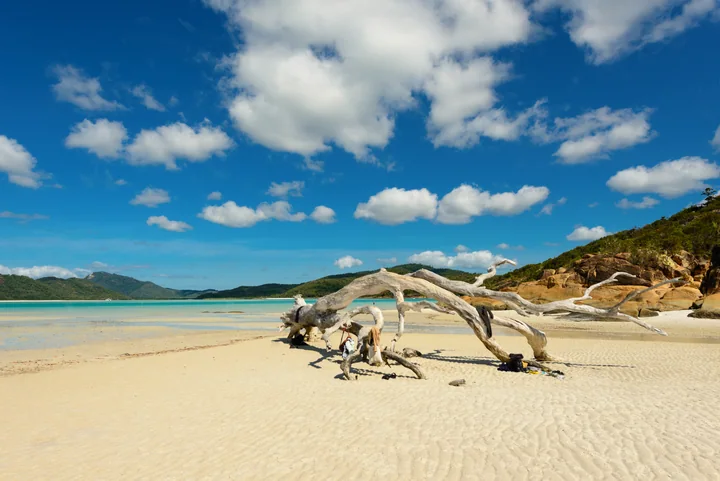 Whitehaven Driftwood — Whitehaven Beach, Australia