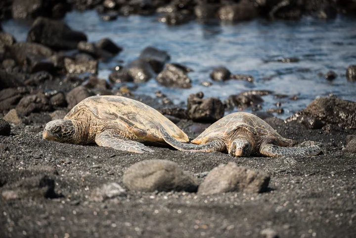 Resting on Black Sand — Island of Hawaiʻi