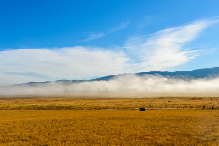 Mist over the Meadow — Montana, USA