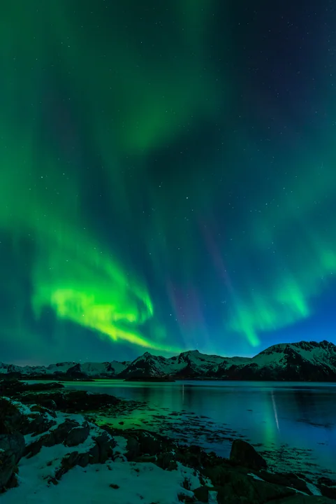 Aurora above the Shore — Lofoten, Norway
