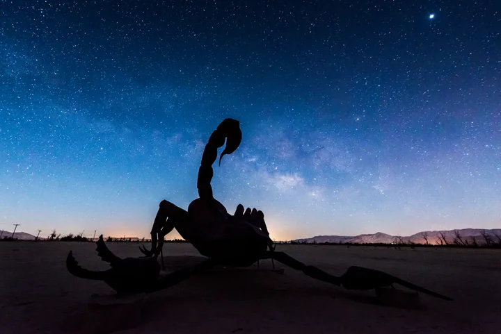 Scorpion beneath the Stars — California, USA