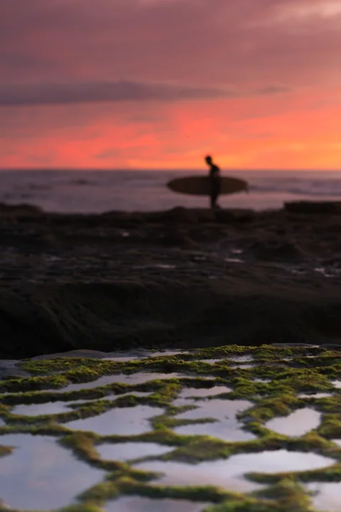 Surfer in the Last Light — California, USA