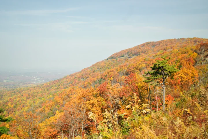 An Autumn Hillside — Virginia, USA
