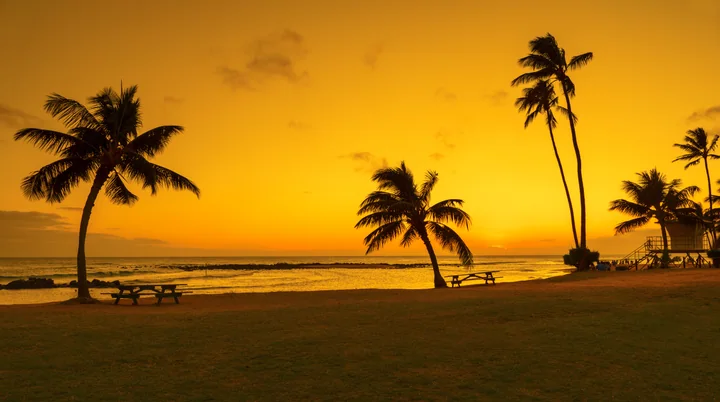 Poʻipū Palms — Kauaʻi, Hawaii