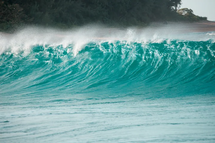 A Turquoise Crest — Kauaʻi, Hawaii