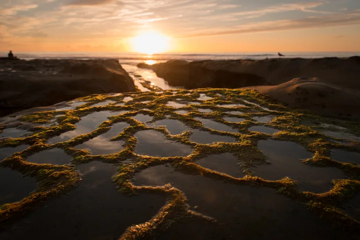 Tide Pools in Golden Light — California, USA