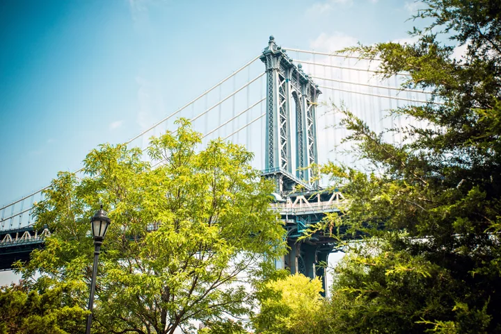Manhattan Bridge through the Trees — New York, USA