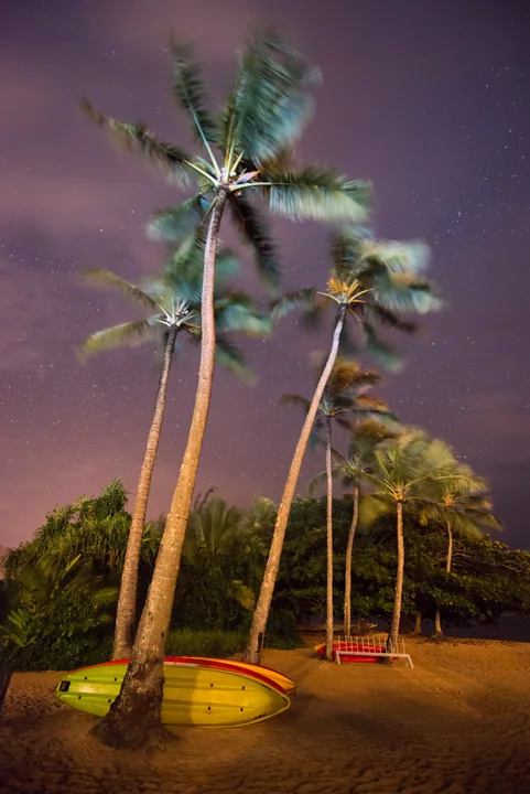 Palms beneath the Stars — Kauaʻi, Hawaii