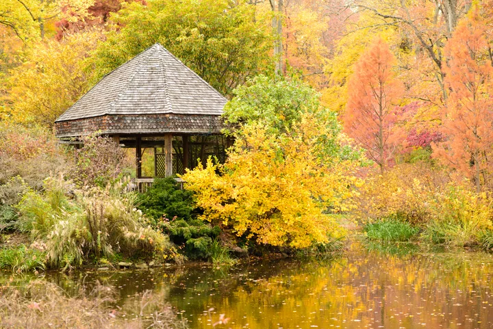Autumn at Brookside Gardens — Maryland, USA