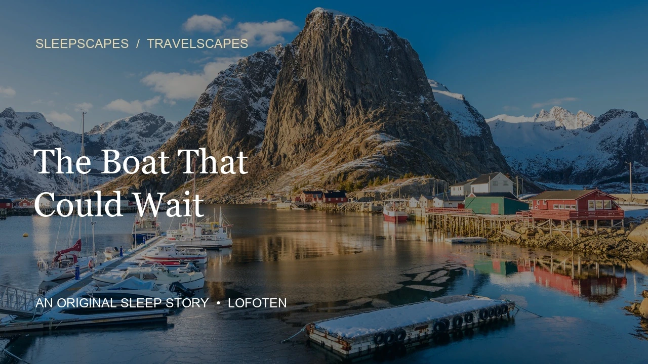 The Boat That Could Wait — film cover